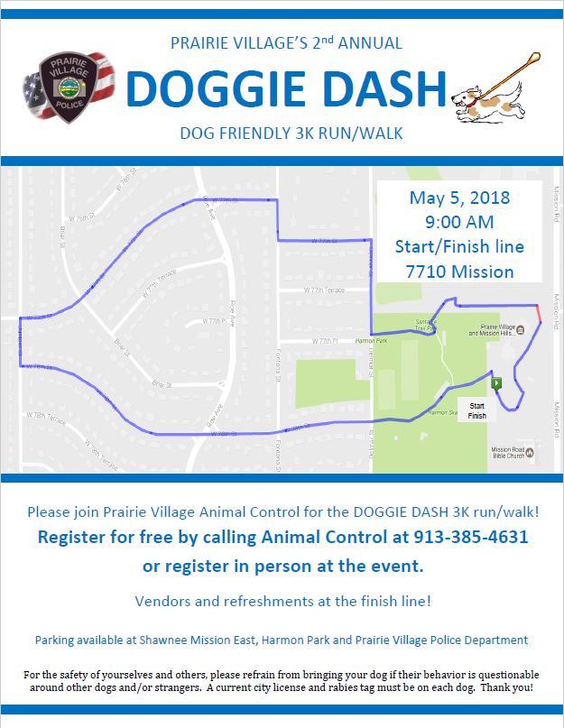 Doggy Dash Image