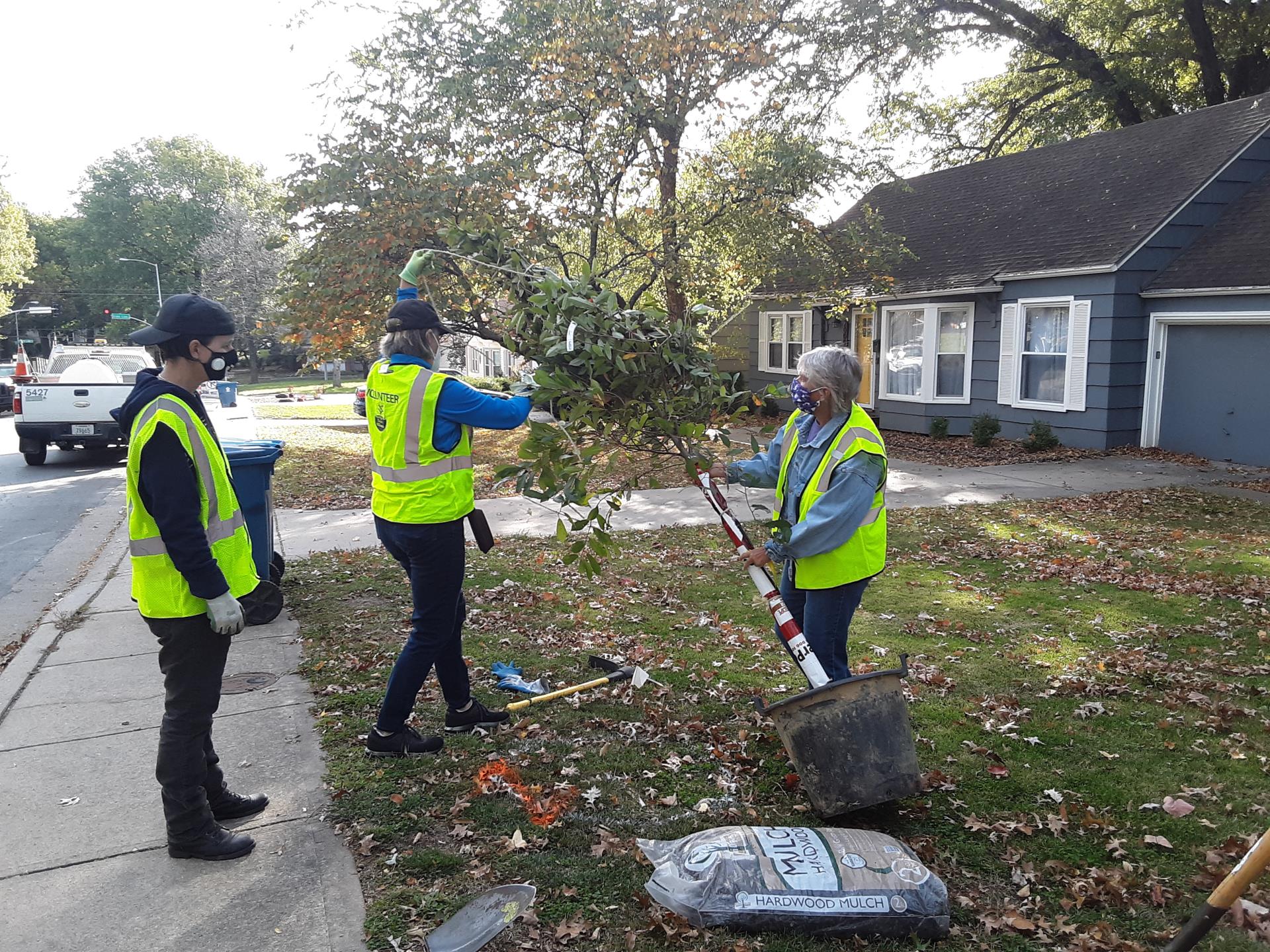 PV Tree Board_2020 Fall Street Tree  Planting_Photo1