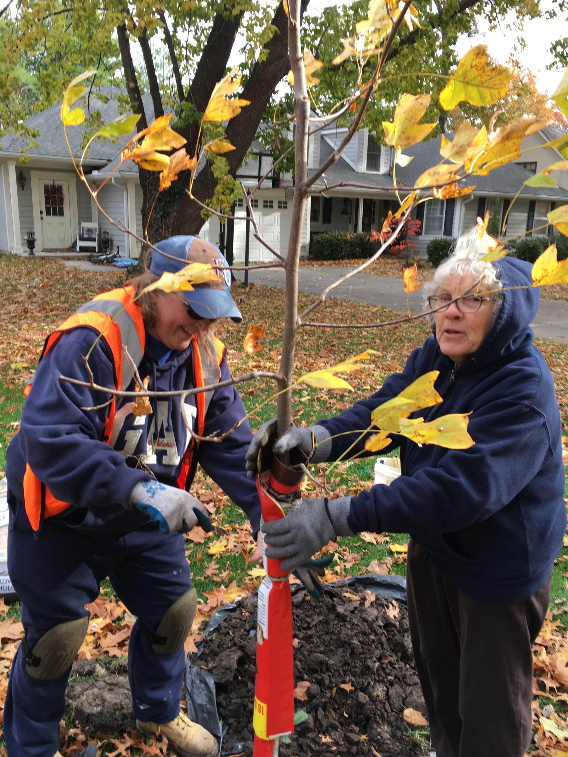 PV Tree Board_2022 Fall Street Tree Planting_November_Indian Fields