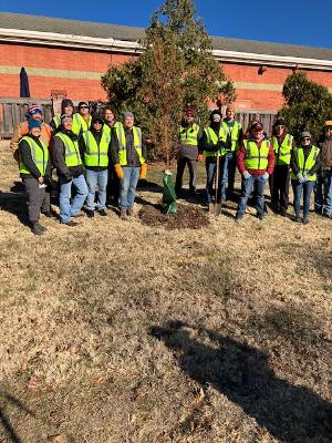 PV Tree Board_2022 Fall Tree Planting 7_Meadowlake area_November 30, 2022