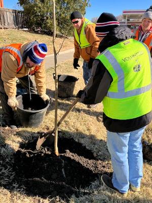 PV Tree Board_2022 Fall Tree Planting 9_Meadowlake area_November 30, 2022